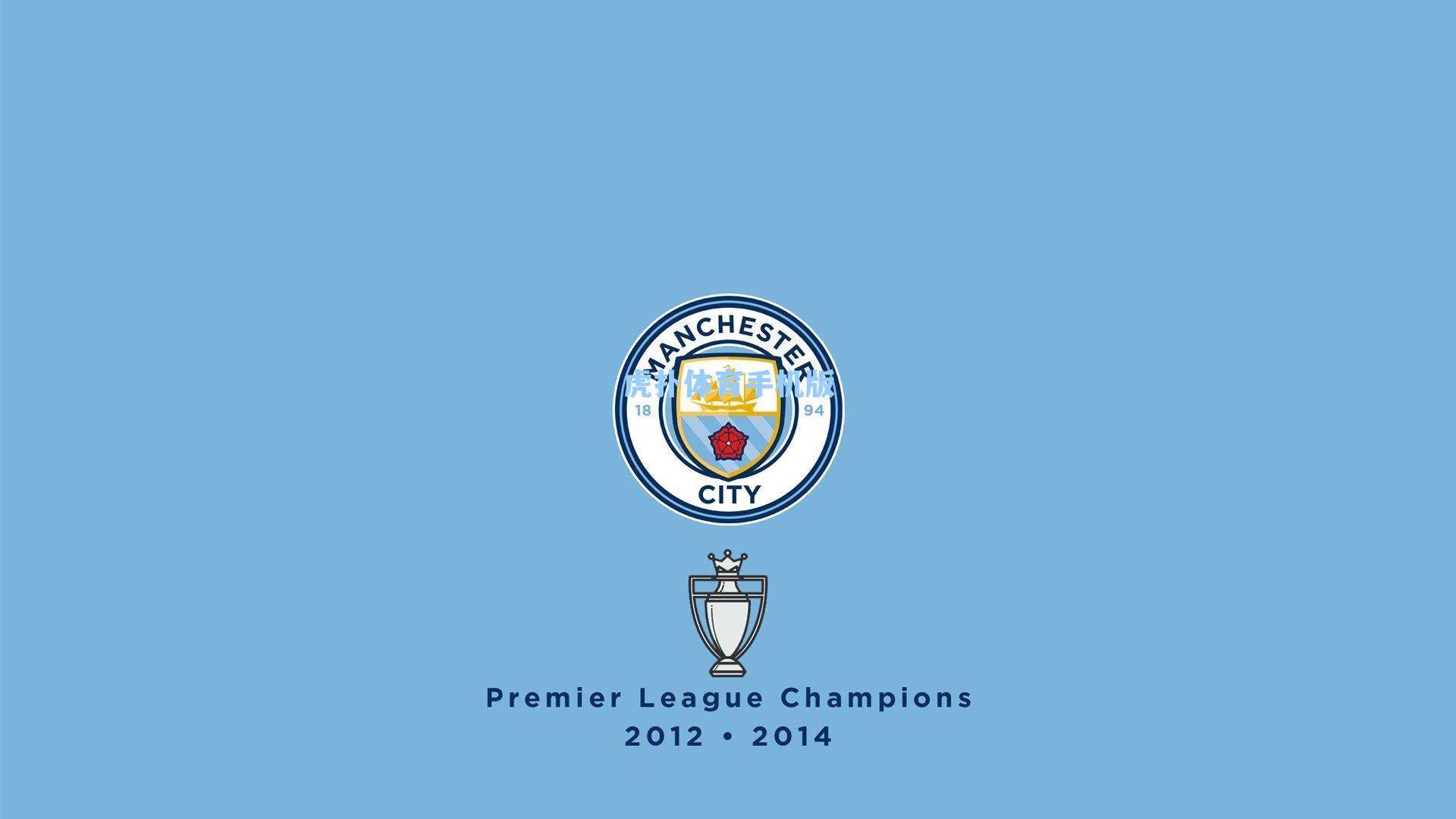 帕尔默训练意外受伤,切尔西新星遭遇离奇挫折